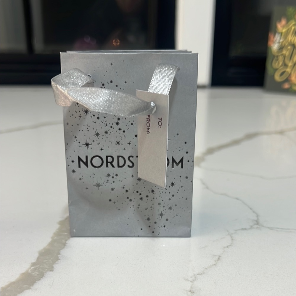 Nordstrom Silver Gift Bag